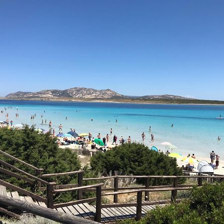 Apartament La Mansardina Porto Torres Zewnętrze zdjęcie