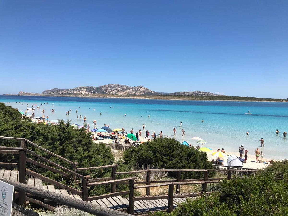 Apartament La Mansardina Porto Torres Zewnętrze zdjęcie